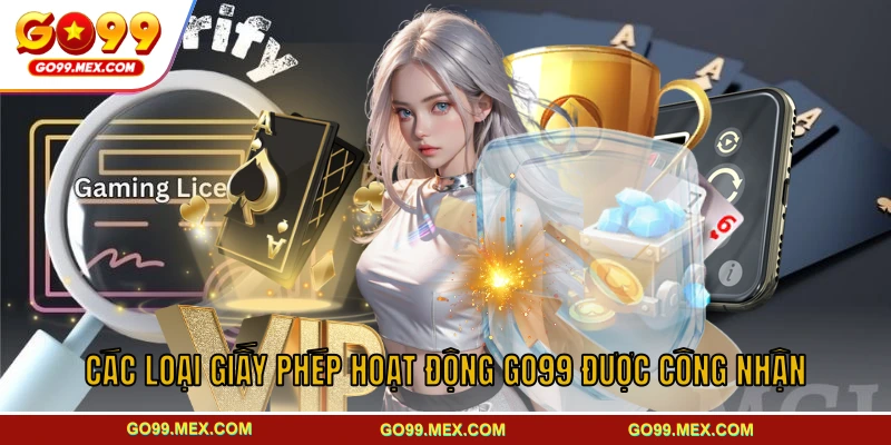 Giấy phép hoạt động GO99 - Cơ sở pháp lý xây dựng uy tín 3 Các loại giấy phép hoạt động GO99 được công nhận