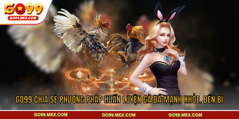 Cách nuôi gà đá chuẩn từ A–Z dành cho người mới bắt đầu tại GO99 4 GO99 chia sẻ phương pháp huấn luyện gà đá mạnh khỏe, bền bỉ